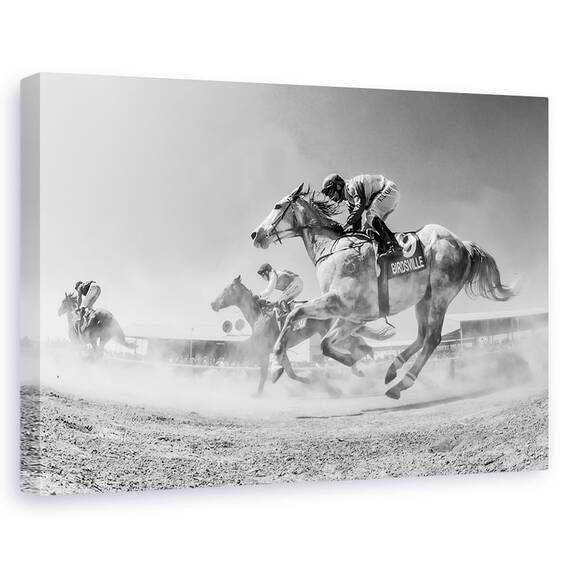 Tablou Canvas - Birdsville Prin Praf - - Roveli
