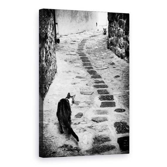 Tablou Canvas - Timpul Infruntarii, Marime: 60 x 90 cm - - Roveli