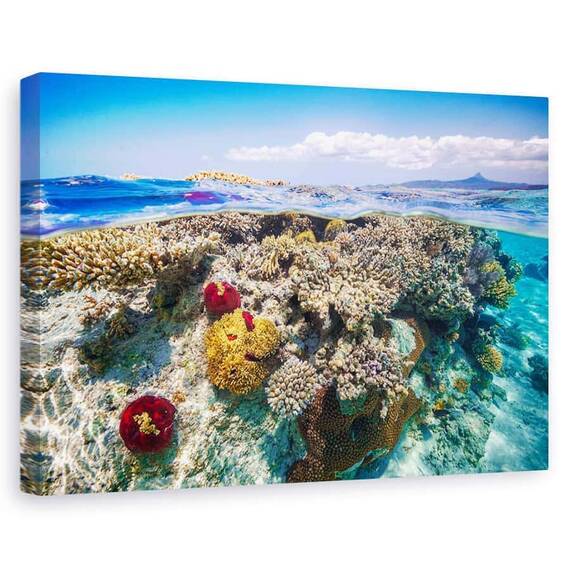 Tablou Canvas - Mayotte Reciful, Marime: 60 x 90 cm - - Roveli