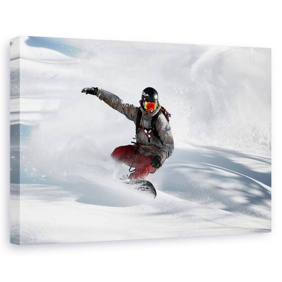 Tablou Canvas - Moment Congelat - - Roveli