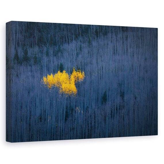Tablou Canvas - Inima De Aspens, Marime: 60 x 90 cm - - Roveli