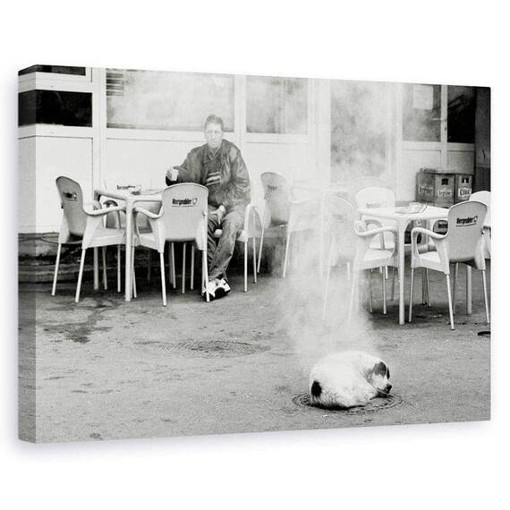 Tablou Canvas - Hot Dog - - Roveli