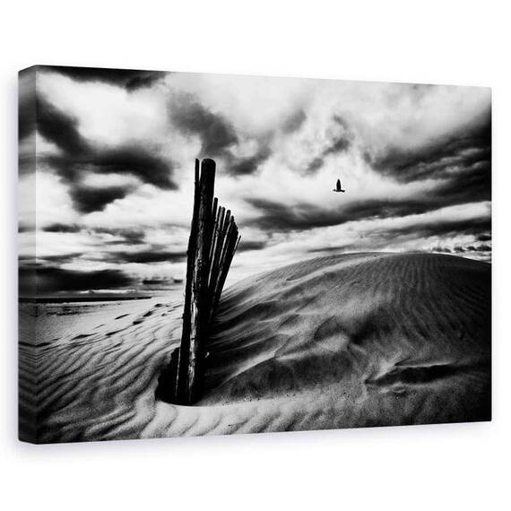Tablou Canvas - Strigatul Pescarusului, Marime: 60 x 90 cm - - Roveli