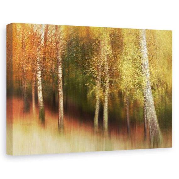 Tablou Canvas - Culori De Toamna, Marime: 60 x 90 cm - - Roveli