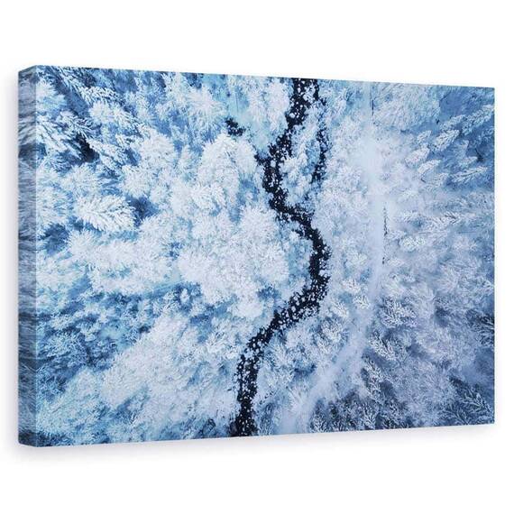 Tablou Canvas - O Frumusete Rece, Marime: 60 x 90 cm - - Roveli