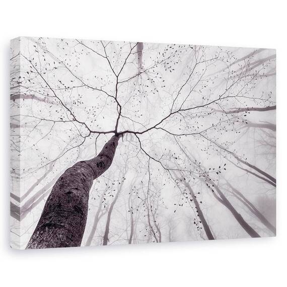 Tablou Canvas - O Vedere A Coroanei Copacului, Marime: 60 x 90 cm - - Roveli