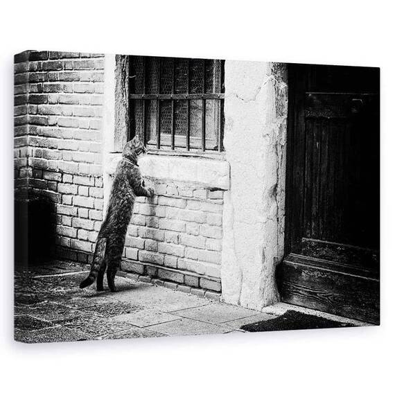 Tablou Canvas - Pisica, Marime: 60 x 90 cm - - Roveli