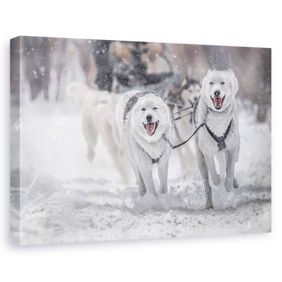 Tablou Canvas - Sporturi De Iarna, Marime: 60 x 90 cm - - Roveli