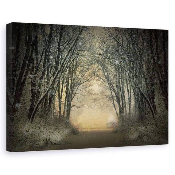 Tablou Canvas - Poveste De Iarna, Marime: 60 x 90 cm - - Roveli