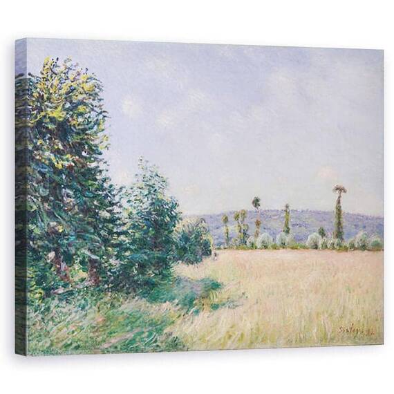 Tablou Canvas - Alfred Sisley - Meadows Sahurs in soarele diminetii - - Roveli