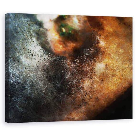 Tablou Canvas - Ant Smith - Alte lumi nr. 5 - Modele in alimentatia veche, 2014 - - Roveli
