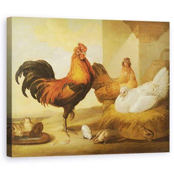 Tablou Canvas - Francis Barlow - Scula domestica, gaini si pui - - Roveli