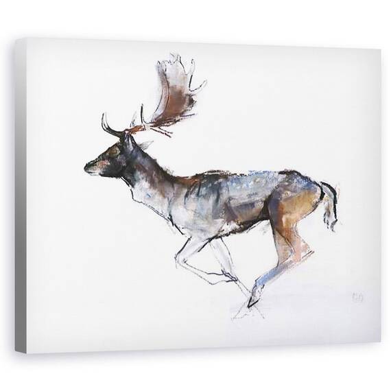 Tablou Canvas - Mark Adlington - Buck Seara Cerb Fallow, 2007 - - Roveli