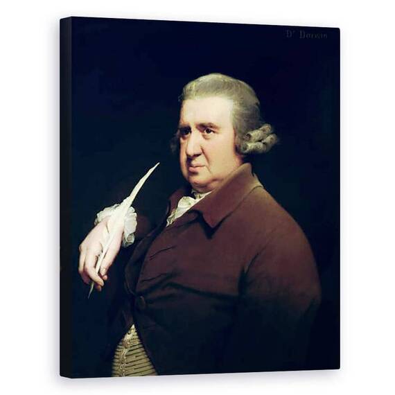Tablou Canvas - Joseph Wright of Derby - Portretul Dr. Erasmus Darwin 1731-1802 om de stiinta, inventator si poet, bunicul lui Charles Darwin - - Roveli