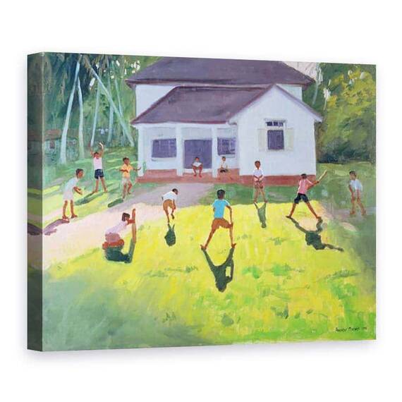 Tablou Canvas - Andrew Macara - Cricket, Sri Lanka - - Roveli