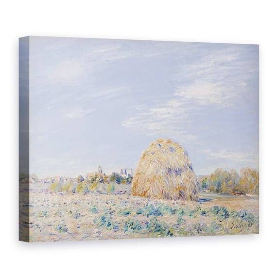 Tablou Canvas - Alfred Sisley - Capita de fan pe malurile Loingului - - Roveli