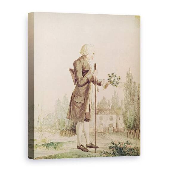 Tablou Canvas - Scoala franceza - Jean-Jacques Rousseau 1712-78 Culegand ierburi la Ermenonville - - Roveli