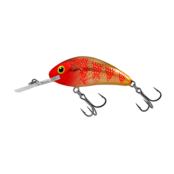 Vobler Salmo Hornet Rattlin H6.5F, Varianta (50): Hornet Rattlin H6.5F GEH Golden Red Head - - Roveli