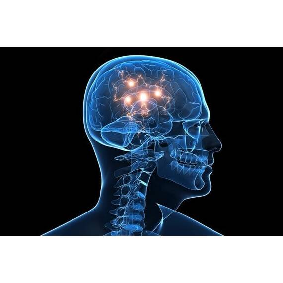 NeuroReven 200 ml Apicol Science - 2- Roveli