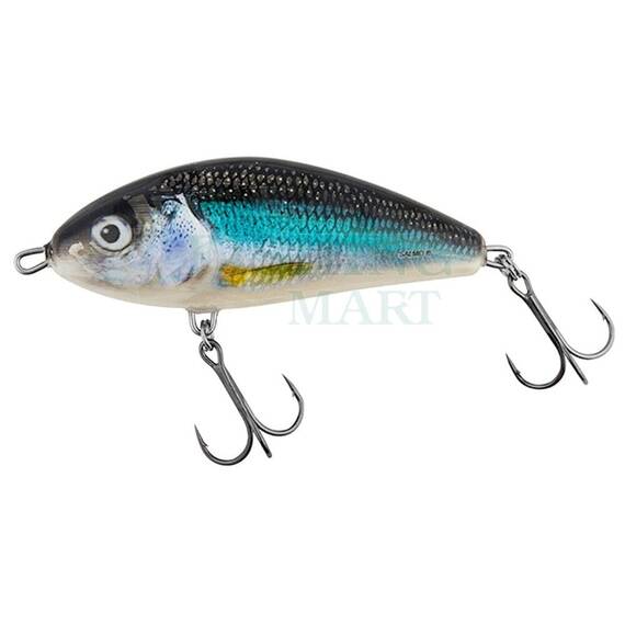 Vobler Salmo Fatso F10F, Varianta (50): Fatso F10F HLS Holo Smelt - - Roveli
