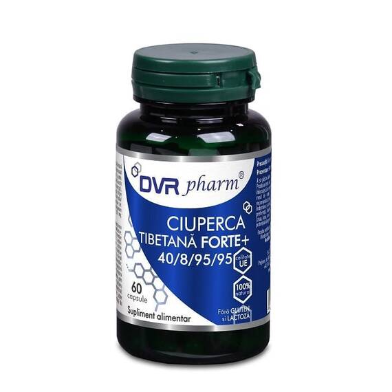 Ciuperca Tibetana Forte+ 60 capsule DVR Pharm - - Roveli