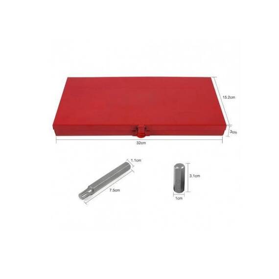 Trusa biti torx 40 piese, RICO Professional - 3- Roveli