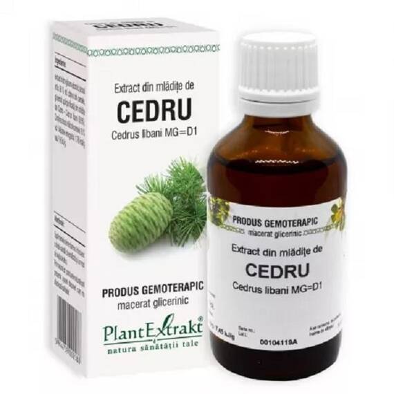 Extract din Mladite de Cedru 50 ml PlantExtrakt - - Roveli