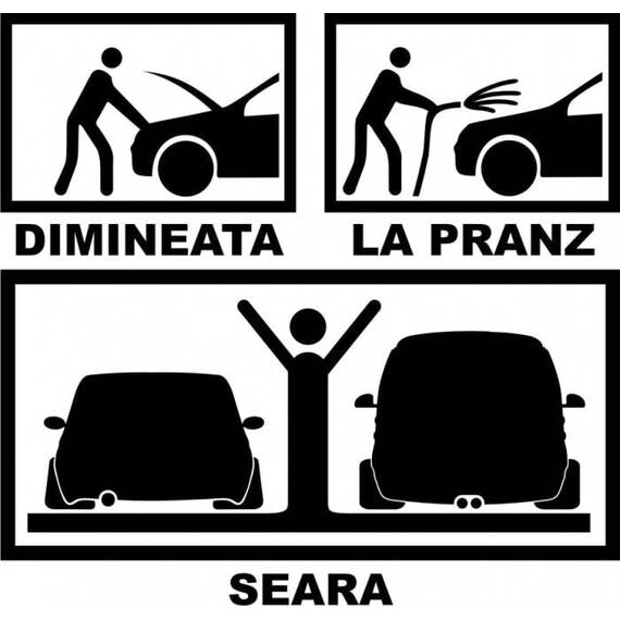 Dimineata Pranz Seara - - Roveli