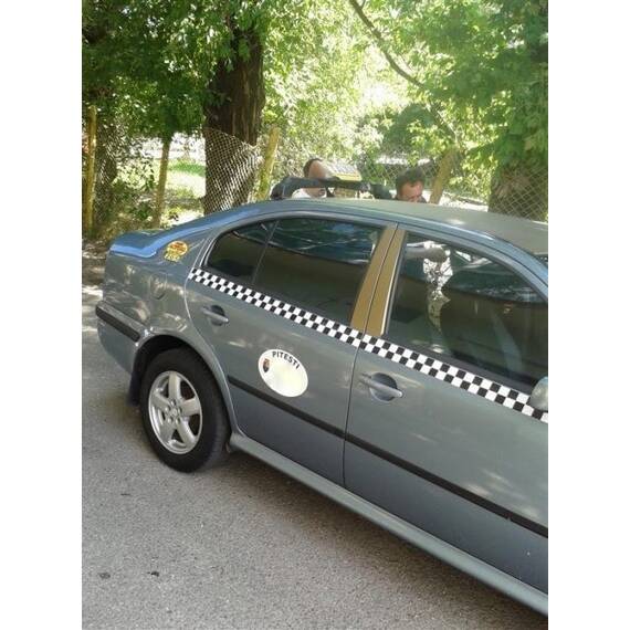 Perdele interior geamuri Skoda Octavia Tour Typ 1U 1996-2004 - - Roveli