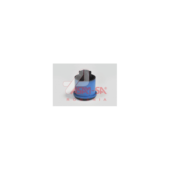 Bucsa Punte Spate Mcv./Duster - - Roveli