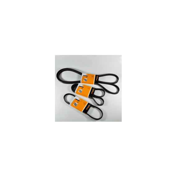 Curea Transmisie Canelata Log. 1.2 16V - - Roveli