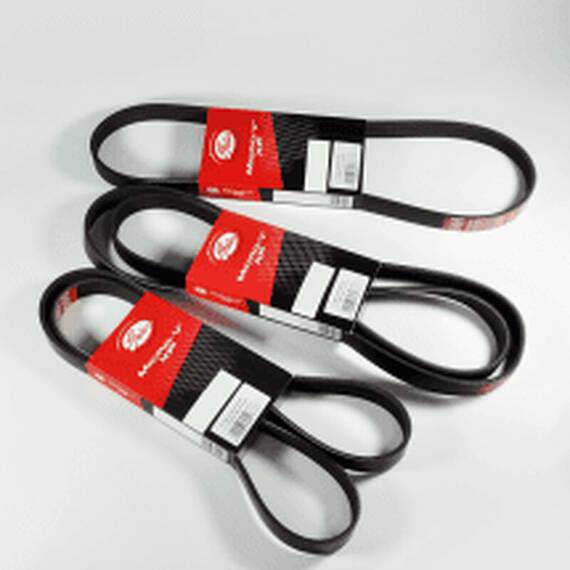 Curea Transmisie Canelata Log. 1.4/1.6 (-Ac +Servo) - - Roveli