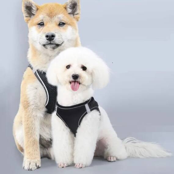 Ham pentru caini de talie mica cu elemente reflectorizante, confortabil, marime XXXS, culoare Negru, AniOne Germany - - Roveli