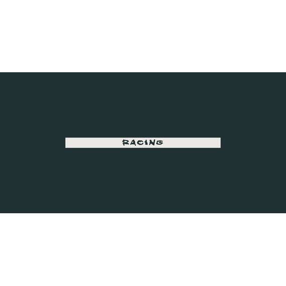 Abtibild parasolar "RACING" parbriz/luneta  diverse culori Cod: DZ-PRS-RA - Negru DZ-PRS-RA01 - - Roveli