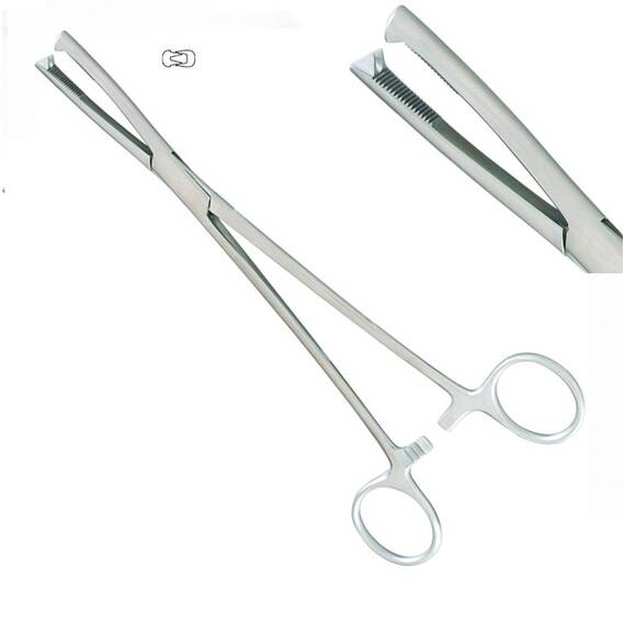 Pensa uterina Jacobs - - Roveli