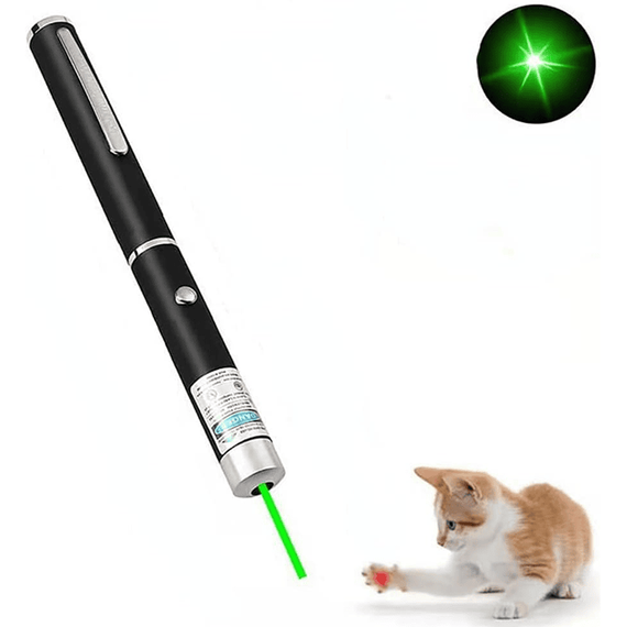 Laser pointer verde, tip stilou metalic, 3V - 4- Roveli