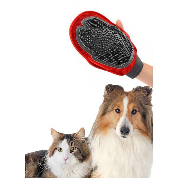 Manusa periaj si masaj animale de companie - 7- Roveli