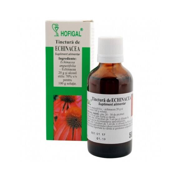 Tinctura de Echinacea 50 ml Hofigal - - Roveli