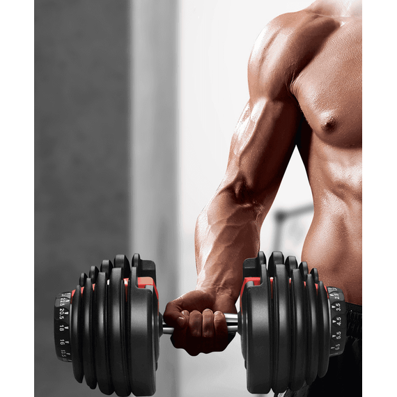 Gantera reglabila 24kg - 6- Roveli