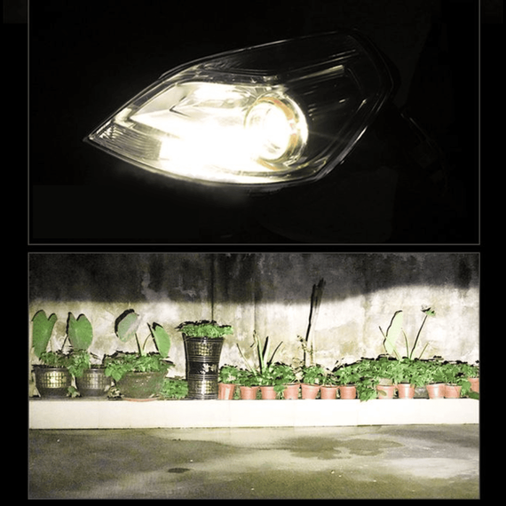 Set 2 becuri auto halogen H1, 140W/set, 24V, 3500K - 5- Roveli