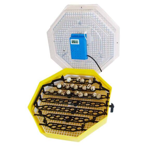 ​Incubator electric pentru oua , cu un dispozitiv de intoarcere, termohigrometru, termometru, maxim 41 oua de gaina - 2- Roveli