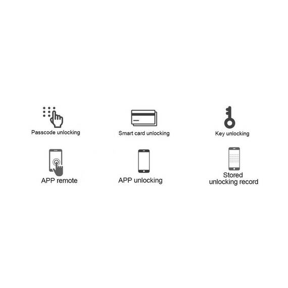 Incuietoare inteligenta DacEnergy©, pentru Casa/ Hotel/ Apartament/ Airbnb, material aliaj de zinc, deblocare Aplicatie / Cod / Card RFID / Cheie, argintiu - 7- Roveli