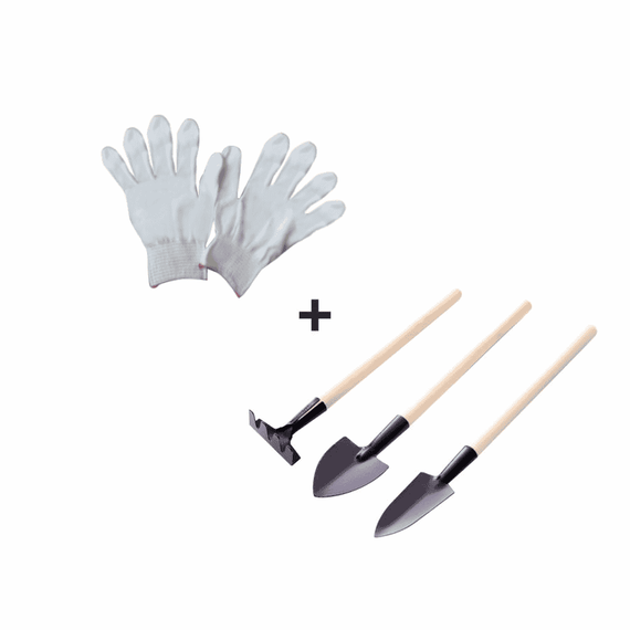 Raft, alb, NEPEL TYP 2 + cadou - 11- Roveli