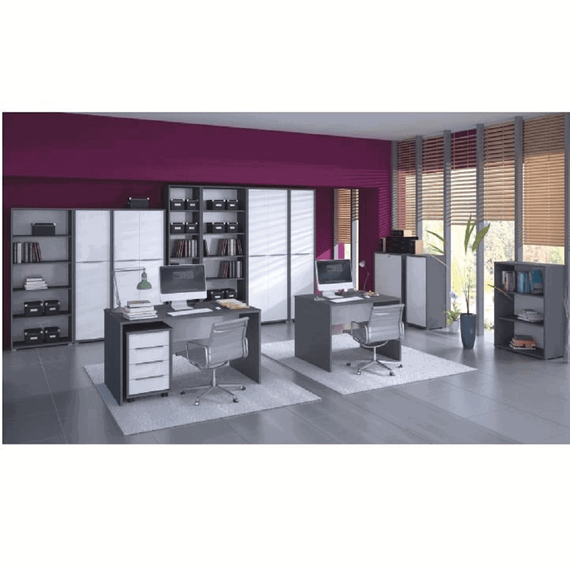Dulap biblioraft, grafit, RIOMA NEW TYP 03 - 2- Roveli