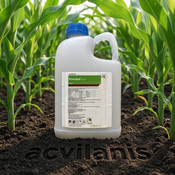 Principal Forte 2400g + Vivolt 2.5L - erbicid complet pentru postemergenta la porumb 5Hectare, Alege ambalajul dorit: 5 hectare - - Roveli