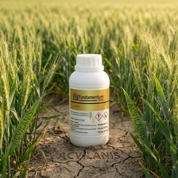 FUNDAMENTUM 700 WG - 150 g + adjuvant ASYSTENT 0.5 litri, 5 ha Innvigo, cereale - - Roveli