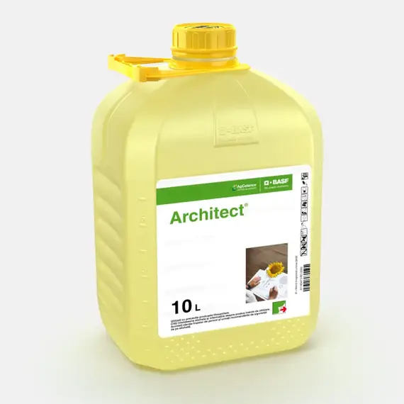 ARCHITECT 10L + Adjuvant TURBO 5kg | Fungicid si Regulator de Crestere Rapita & Floarea Soarelui (BASF) - - Roveli
