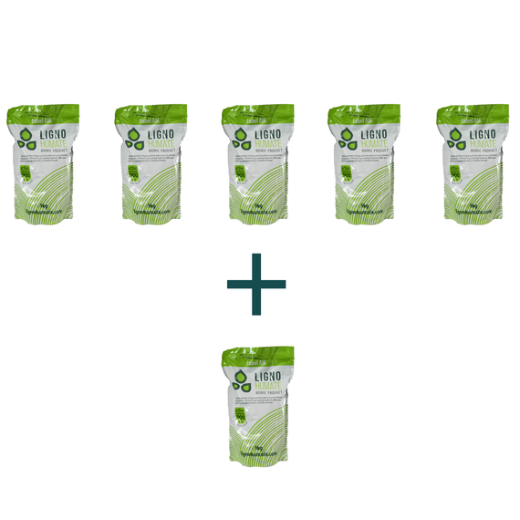 Pachet Lignohumate 1kg+5kg Ingrasamant foliar biostimulator Lignohumate de potasiu - - Roveli