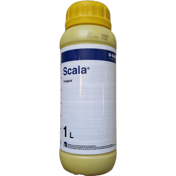 Scala 1L fungicid pentru combaterea putregaiului cenusiu - - Roveli