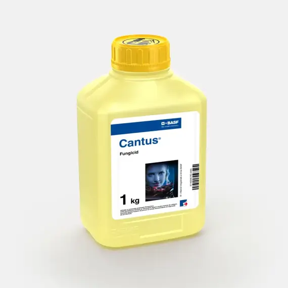 Cantus Fungicid BASF – 1 kg – Expertul in combaterea Putregaiului Cenusiu - - Roveli